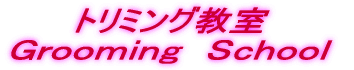 トリミング教室 Grooming School