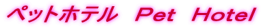�y�b�g�z�e���@�o�����@�g��������