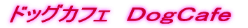 �b�`�e�d�@�@�J�t�F