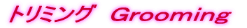 �f���������������@�O���[�~���O 
