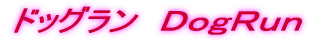 �h�b�O����