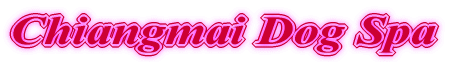 Chiangmai Dog Spa 